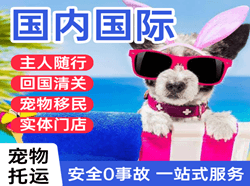 长春航空物流国际宠物托运 【国
